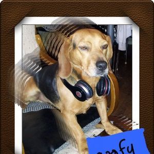 Meet your Posher, Edgar